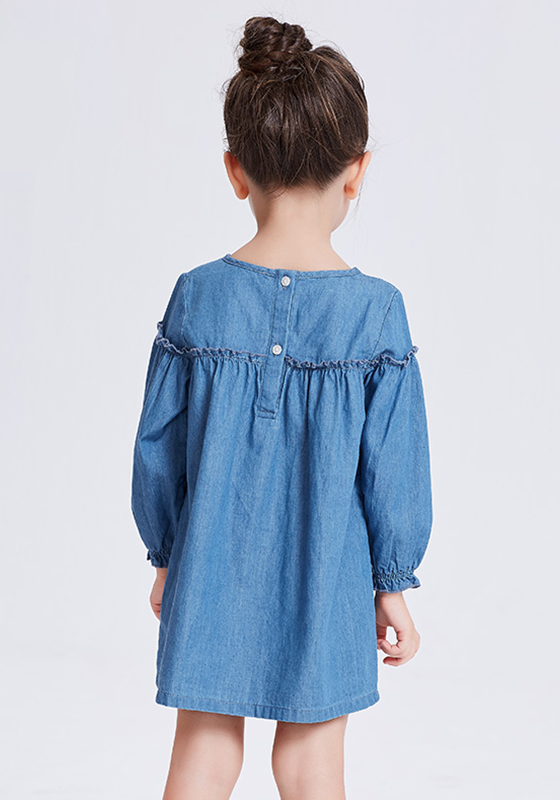 Emile A-line Long Sleeve Dress Emile A-line Long Sleeve Dress