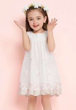 Mila Embroidery Lace Dress