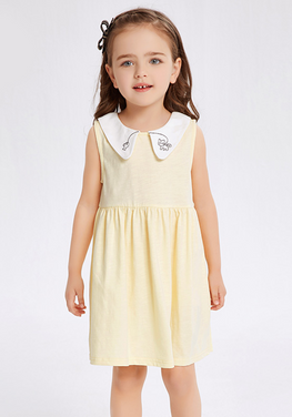 Ida A-line Sleeveless Dress