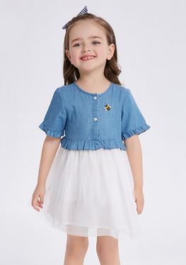 Katti Denim Tutu Dress