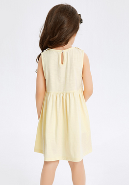 Ida A-line Sleeveless Dress